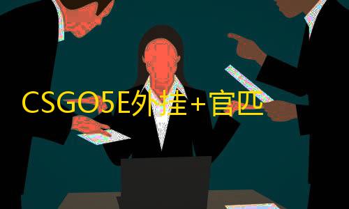 CSGO5E外挂+官匹【小龙人/单透】辅助